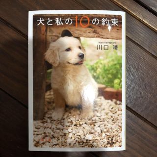 犬と私(わたし)の10の約束(絵本/児童書)