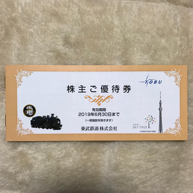 東武鉄道 株主優待 冊子一冊 2019年6月30日まで有効 チケットの優待券/割引券(その他)の商品写真