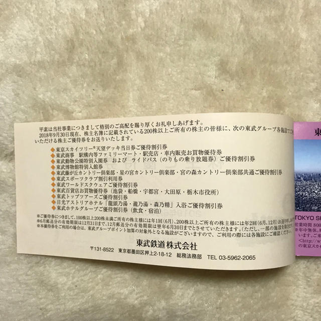 東武鉄道 株主優待 冊子一冊 2019年6月30日まで有効 チケットの優待券/割引券(その他)の商品写真