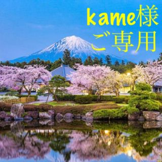 kame様ご専用(ベアトップ/チューブトップ)