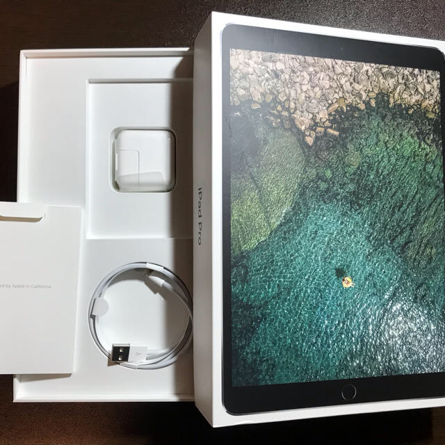 安いそれに目立つ iPad 256GB Wi-Fi 10.5 Pro iPad 超美品・AppleCare+