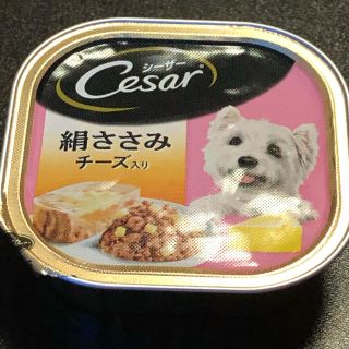 シーザー(CASAR)の陽菜ママ 様 専用(ペットフード)