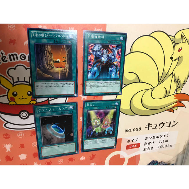024 遊戯王 半魔導帯域 王家の眠る谷ネクロバレー テラ フォーミング 盆回しの通販 By とてもちいさな S Shop ラクマ 024 遊戯王 半魔導帯域 王家の眠る谷ネクロバレー テラ フォーミング 盆回しの通販 By とてもちいさな S Shop ラクマ