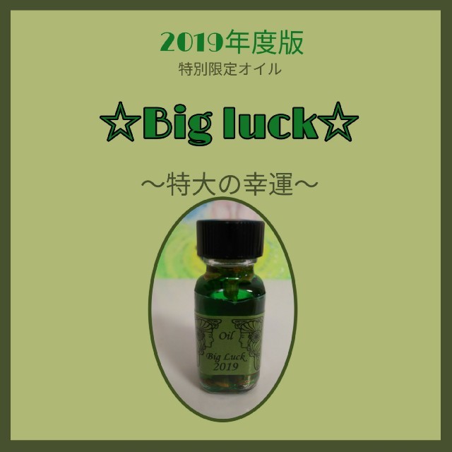 2019年度版の特大の幸運Big luck コスメ/美容のリラクゼーション(その他)の商品写真