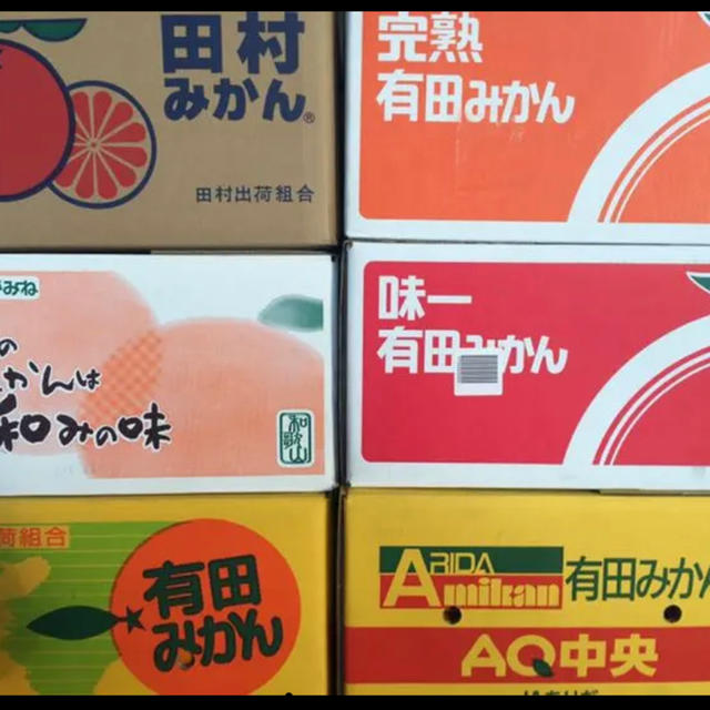 和歌山県 傷あり訳ありみかん約10kg 食品/飲料/酒の食品(フルーツ)の商品写真