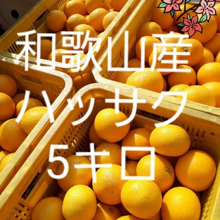 和歌山県産　減農薬　ハッサク(八朔)5キロ(フルーツ)