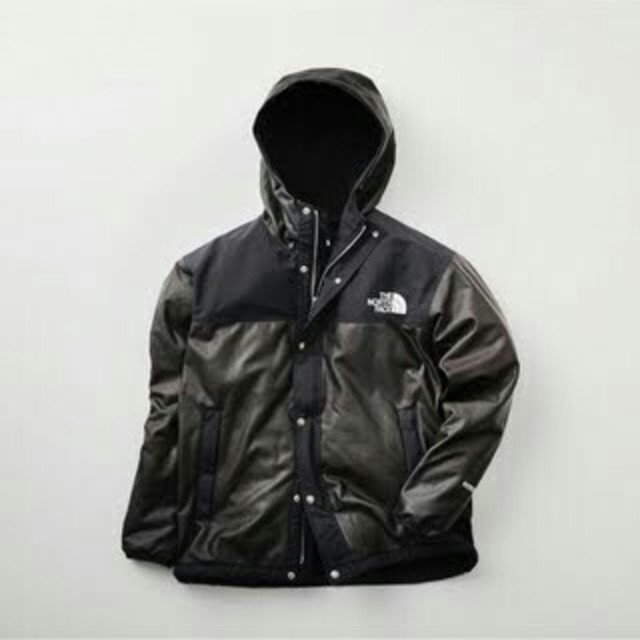 THE NORTH FACE GTX Pamir Jacket NP11861R