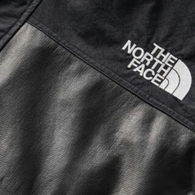 THE NORTH FACE(ザノースフェイス)のTHE NORTH FACE GTX Pamir Jacket NP11861R メンズのジャケット/アウター(マウンテンパーカー)の商品写真