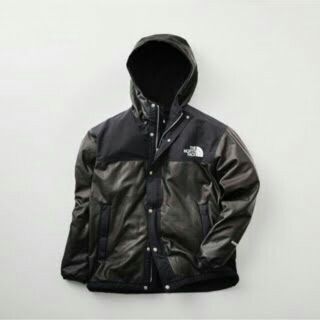 ザノースフェイス(THE NORTH FACE)のTHE NORTH FACE GTX Pamir Jacket NP11861R(マウンテンパーカー)