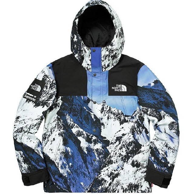 国内正規品 supreme tnf mountain parka