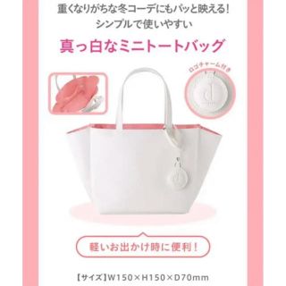 シセイドウ(SHISEIDO (資生堂))の資生堂 dプログラム オリジナルミニトートバッグ(トートバッグ)