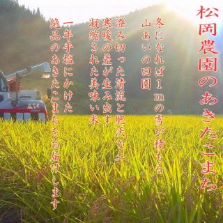 《送料込》30年産 新米100% あきたこまち 玄米10キロ 精米無料(米/穀物)
