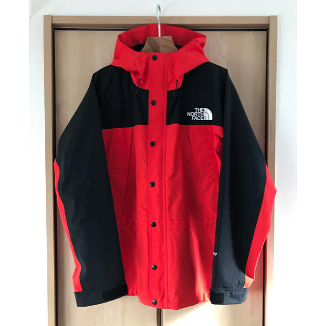 【L】今期購入 新品 THE NORTH FACE MOUNTAIN LIGHT