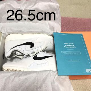 フィアオブゴッド(FEAR OF GOD)のFear of god nike skylon 2 26.5cm(スニーカー)