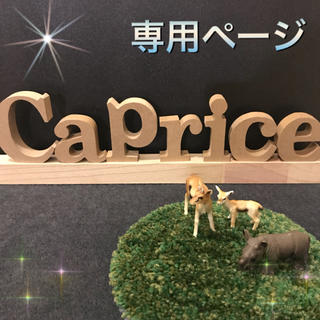 asa様専用ページの通販 by CAPRICE｜ラクマ