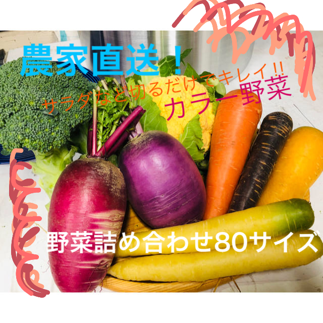 【あきもと農園直送！】彩り野菜 お試しパック 食品/飲料/酒の食品(野菜)の商品写真