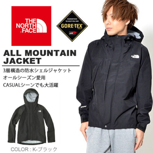 THE NORTH FACE(ザノースフェイス)のノースフェイス ゴアテックス マウンテンパーカー メンズのジャケット/アウター(マウンテンパーカー)の商品写真