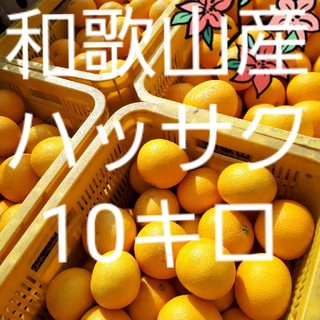 和歌山県産　はっさく(八朔)　減農薬　10㎏(フルーツ)