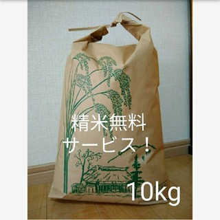 【精米サービス！】新米コシヒカリ 10kg(米/穀物)