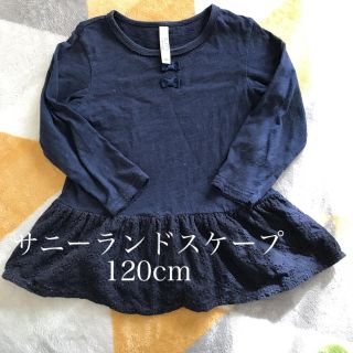 サニーランドスケープ(SunnyLandscape)のサニーランドスケープ 120cm(Tシャツ/カットソー)