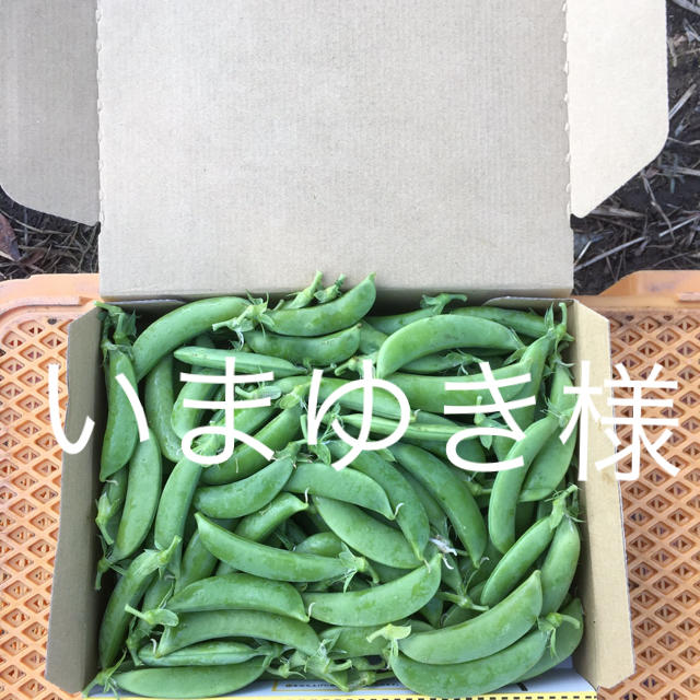 鹿児島産スナップエンドウ1キロ^_^ 食品/飲料/酒の食品(野菜)の商品写真