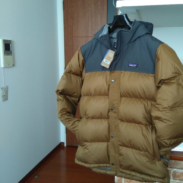 patagonia(パタゴニア)のパタゴニアダウン レディースのジャケット/アウター(ダウンジャケット)の商品写真