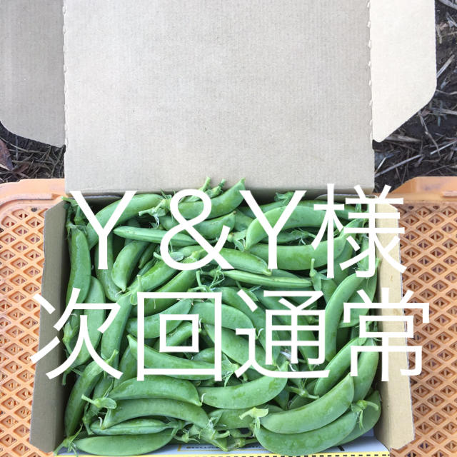 鹿児島産スナップエンドウ1キロ^_^次回通常 食品/飲料/酒の食品(野菜)の商品写真