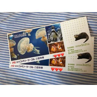 新江ノ島水族館♡ペア無料ご招待券(水族館)