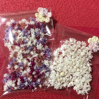 ◆専用◆💐スターフラワー💐ヘッド❤︎ミックス❤︎白(ドライフラワー)