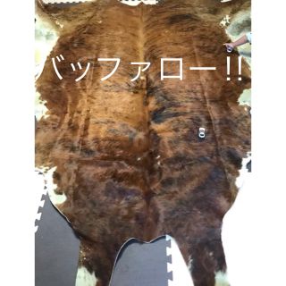 バッファロー ラグマット 毛皮の通販|ラクマ