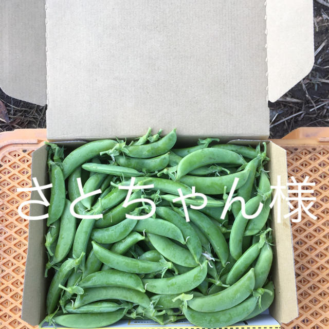 鹿児島産スナップエンドウ1キロ^_^ 食品/飲料/酒の食品(野菜)の商品写真