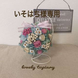 いそはち様専用  lovely topiary スタンド付き(ドライフラワー)