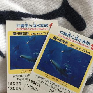 沖縄美ら海水族館 入場券 大人 2枚 3700円→2400円(水族館)