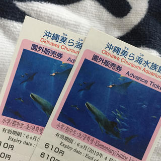 美ら海水族館 小・中学生 入場券 2枚 半額 (水族館)