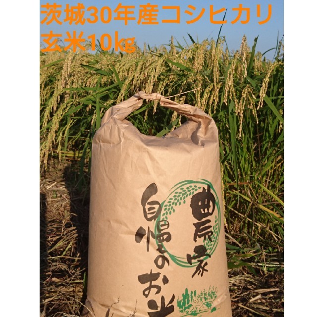 ゆか様専用茨城30年産コシヒカリ玄米5㎏、ミルキークイーン玄米5㎏ 食品/飲料/酒の食品(米/穀物)の商品写真