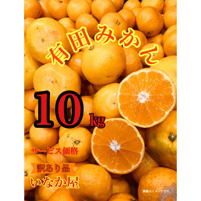 有田みかん 訳あり品 数量限定 早い者勝ち！ 食品/飲料/酒の食品(フルーツ)の商品写真