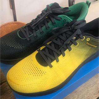 エンジニアードガーメンツ(Engineered Garments)のhoka one one×engineered garments HUPANA(スニーカー)