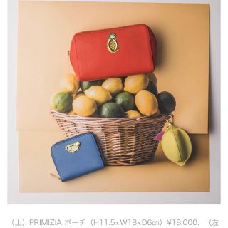 フルラ(Furla)の値下げ！新品☆ FURLA ポーチ コスメティックケース(ポーチ)