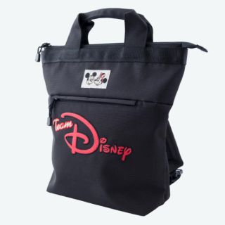 ディズニー(Disney)のタグなし チーム ディズニー リュック(キャラクターグッズ)