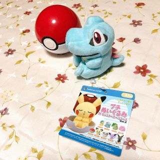 ポケモン(ポケモン)のポケモン プチぬいぐるみ（ワニノコ）(ぬいぐるみ/人形)