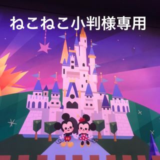 ディズニー(Disney)のねこねこ小判様専用(ゲームキャラクター)