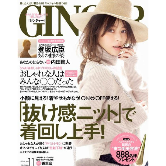 値下げ！Ginger 表紙 香里奈着用 ウィムガゼット    タートル ニット