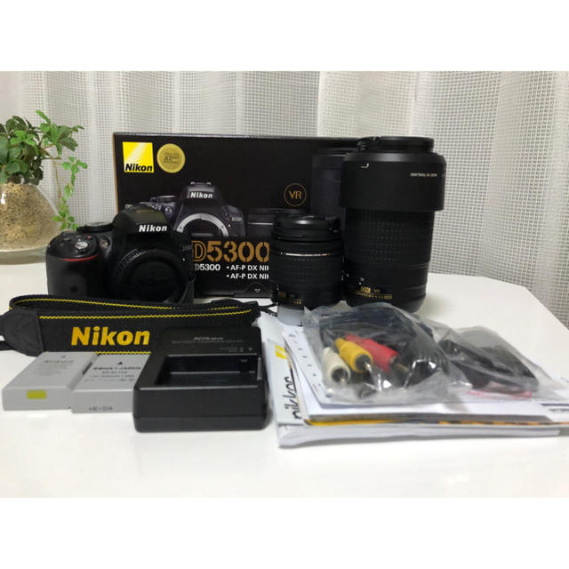 Nikon D5300 ダブルズームキット