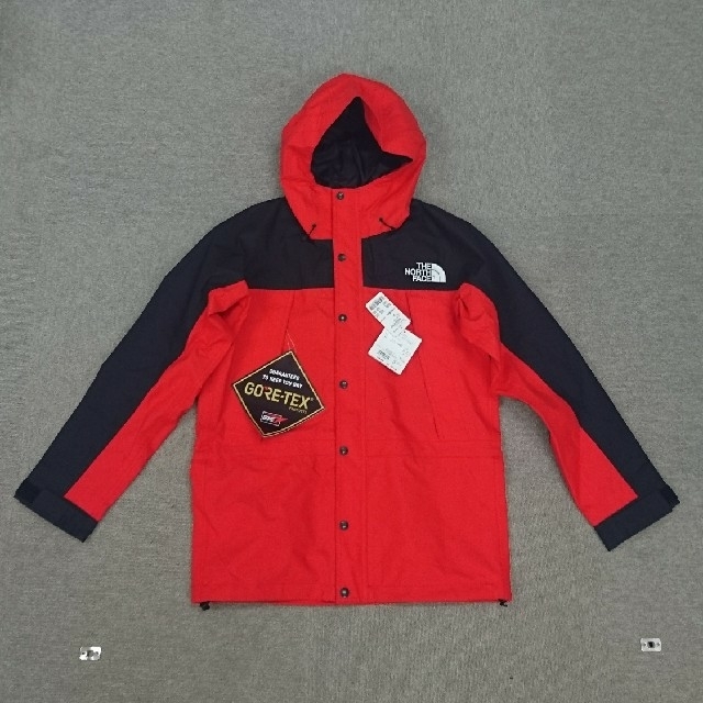 THE NORTH FACE MOUNTAIN LIGHT JACKET