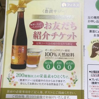 豊潤サジー 10日分お試し 300ml(その他)