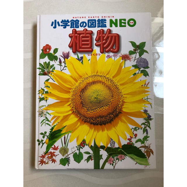 小学館(ショウガクカン)の小学館 図鑑 neo 植物 エンタメ/ホビーの本(絵本/児童書)の商品写真