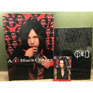 Acid Black Cherry(ミュージシャン)