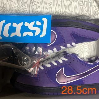 ナイキ(NIKE)のConcepts x Nike SB Dunk purple lobster(スニーカー)