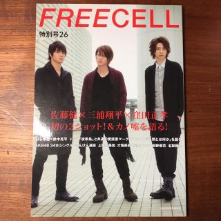 カドカワショテン(角川書店)のFREECELL 特別号26 カノ嘘(アート/エンタメ/ホビー)