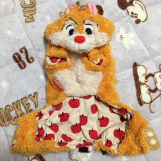 ディズニー(Disney)のペットパラダイス♡チップ＆デール(犬)